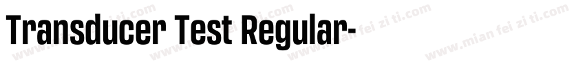 Transducer Test Regular字体转换